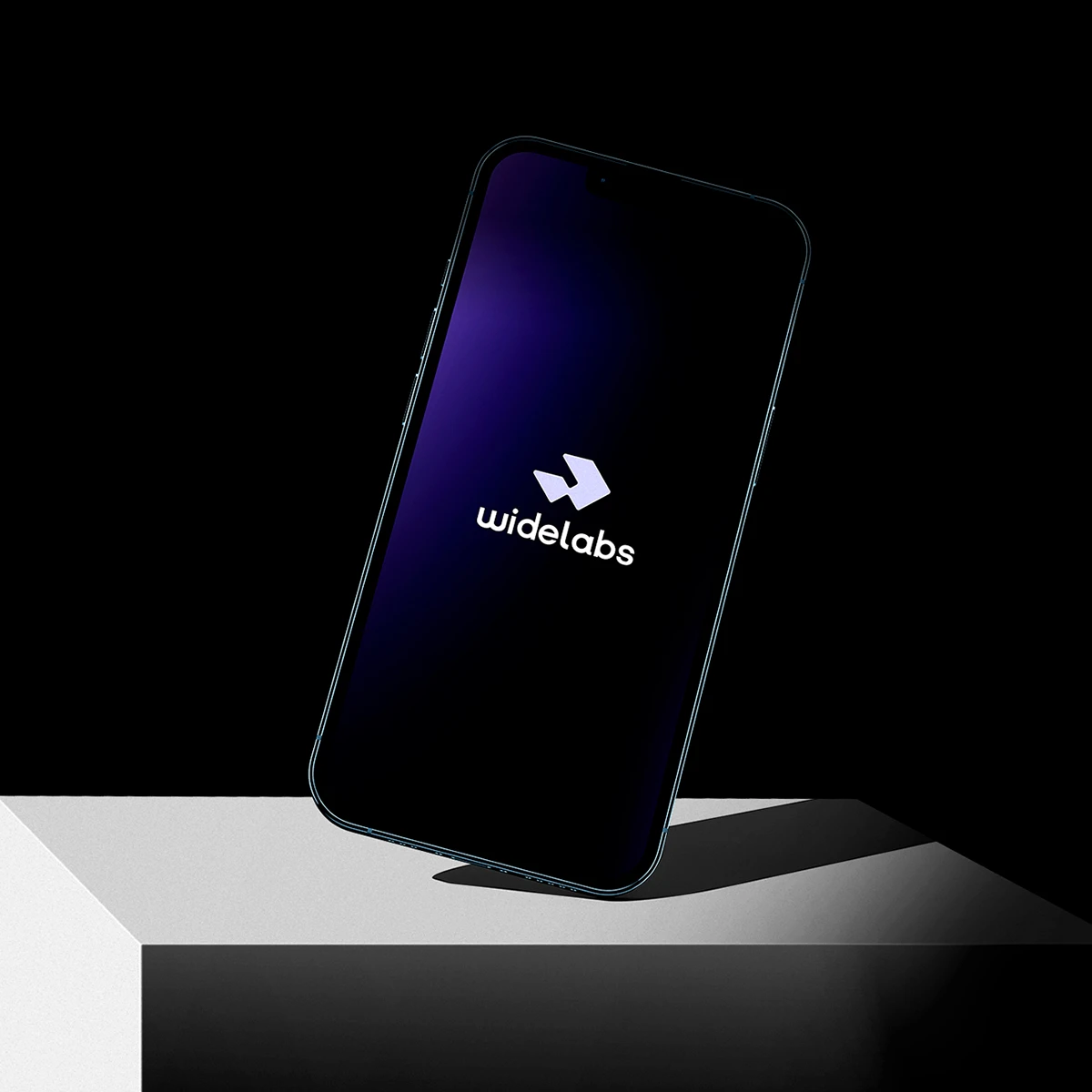 Widelabs Brand Guidelines